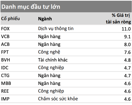 Danh mục đầu tư lớn của VMEEF