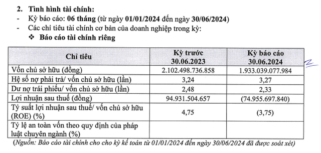 Thông tin tài chính nửa đầu năm 2024 của Helios