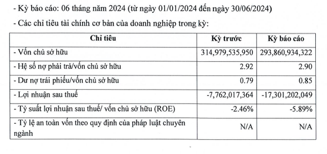 Một số chỉ tiêu tài chính của TTE nửa đầu năm 2024