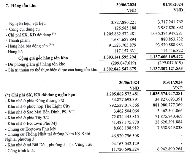 Cơ cấu tồn kho của Hodeco tại thời điểm 30/6/2024