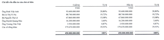 Cơ cấu cổ đông của Royal Invest JSC tại thời điểm 30/6/2024