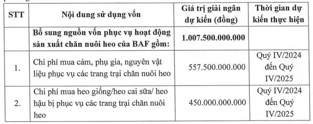 Mục đích huy động vốn của BAF