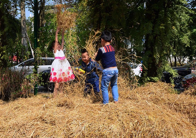 Không gian xưa được tái hiện trong khu đô thị mới ảnh 11