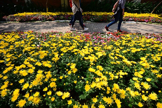 Không gian xưa được tái hiện trong khu đô thị mới ảnh 8