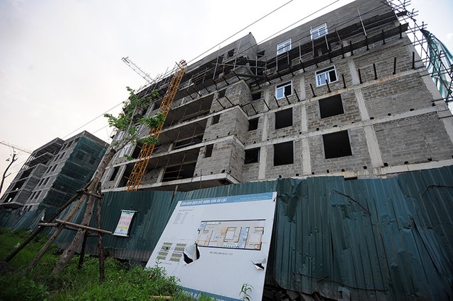 Phơi miến, chăn bò tại dự án đại gia “điếu cày” mới sắm ảnh 3