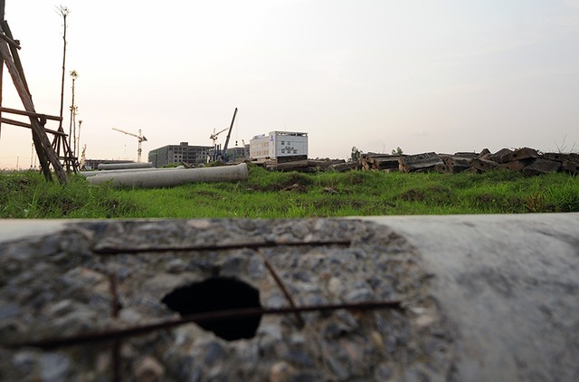 Phơi miến, chăn bò tại dự án đại gia “điếu cày” mới sắm ảnh 5