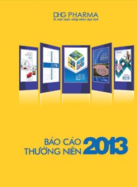 Soi hiệu quả kinh doanh của 10 doanh nghiệp có báo cáo thường niên tốt nhất ảnh 2