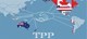 TPP và chuyện tút tát “bộ mặt” nhà  bảo hiểm ảnh 1 TPP và chuyện tút tát “bộ mặt” nhà  bảo hiểm ảnh 1
