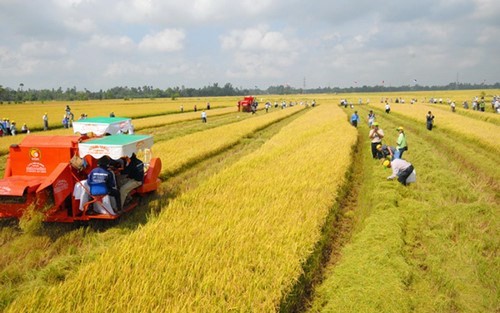 Thúc đẩy tích tụ đất đai, tạo điều kiện tái cơ cấu nông nghiệp