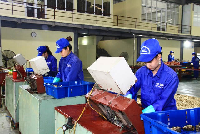 Với bất động sản công nghiệp, COVID-19 chỉ tác động ngắn hạn, còn sẽ hưởng lợi lớn từ EVFTA ảnh 1 Với bất động sản công nghiệp, COVID-19 chỉ tác động ngắn hạn, còn sẽ hưởng lợi lớn từ EVFTA ảnh 1