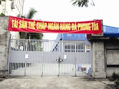 Tài sản nợ xấu là rất nhiều dự án tốt, ngân hàng kêu không bán được ảnh 1 Tài sản nợ xấu là rất nhiều dự án tốt, ngân hàng kêu không bán được ảnh 1
