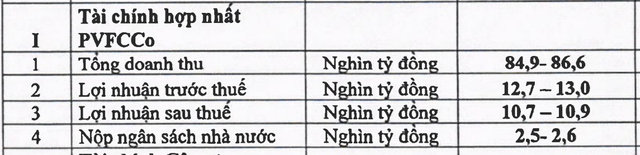 Chỉ số tài chính hợp nhất PVFCCo giai đoạn 2021-2025 Chỉ số tài chính hợp nhất PVFCCo giai đoạn 2021-2025