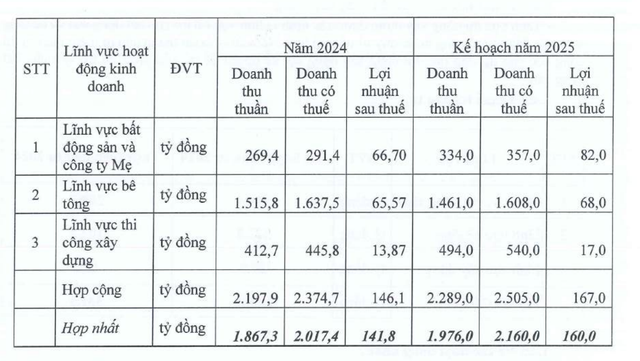 Kế hoạch đầu tư năm 2025 của THG