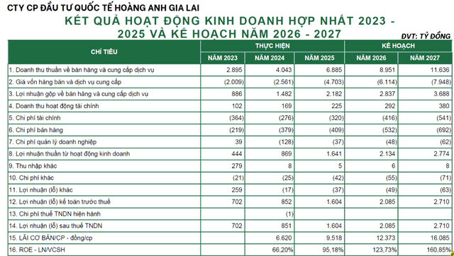 Các chỉ tiêu tài chính của CTCP Đầu tư quốc tế Hoàng Anh Gia Lai