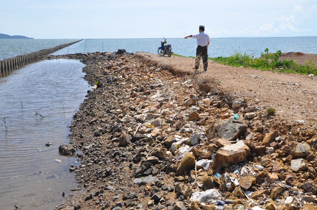 Kiến nghị thu hồi dự án nhiệt điện Kiên Lương của Tân Tạo ảnh 1