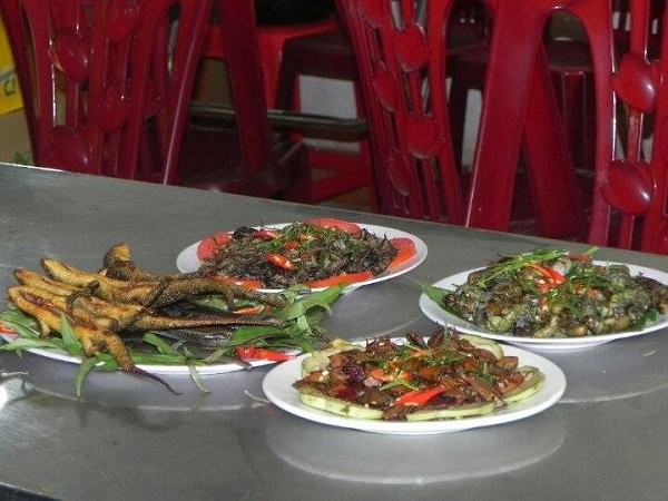 Thạc sỹ lương không đủ sống, bỏ bục giảng đi nuôi dế ảnh 8