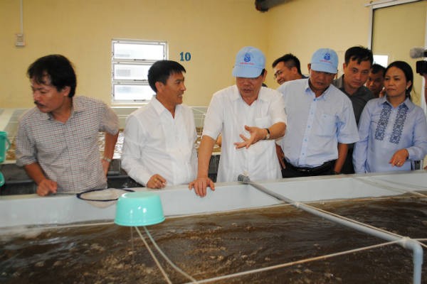 Nhiệt điện Vĩnh Tân I khiến doanh nghiệp nuôi tôm Bình Thuận "lo sốt vó" ảnh 1 Nhiệt điện Vĩnh Tân I khiến doanh nghiệp nuôi tôm Bình Thuận "lo sốt vó" ảnh 1