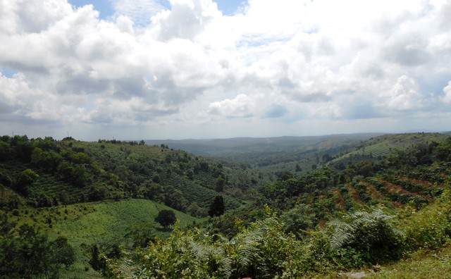 Những cao nguyên đẹp mê hồn ở Việt Nam ảnh 3