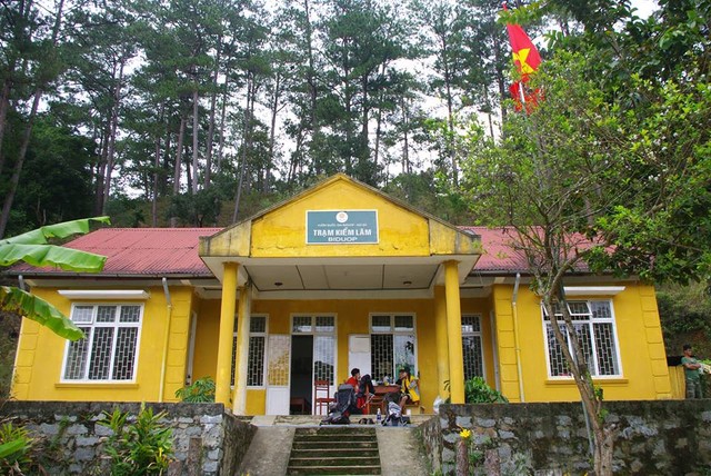 Trekking trên "nóc nhà Tây Nguyên" Bidoup ảnh 3