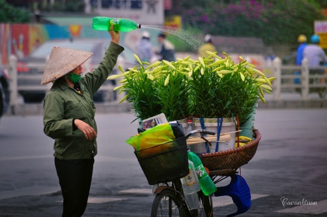 Gánh loa kèn và nỗi nhớ tháng 4 ảnh 10 Gánh loa kèn và nỗi nhớ tháng 4 ảnh 10