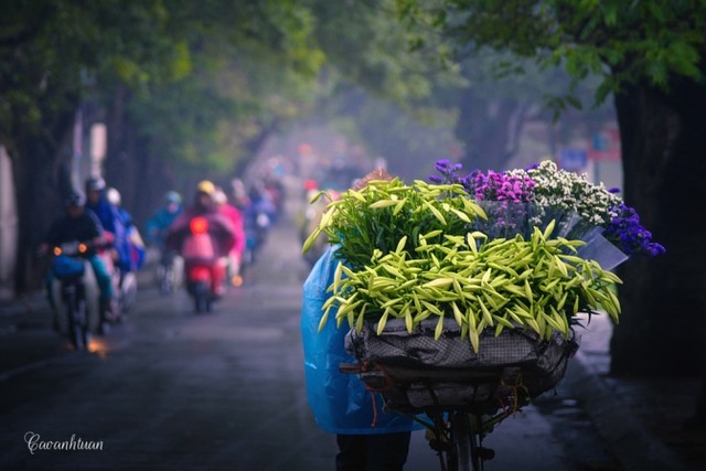 Gánh loa kèn và nỗi nhớ tháng 4 ảnh 1 Gánh loa kèn và nỗi nhớ tháng 4 ảnh 1