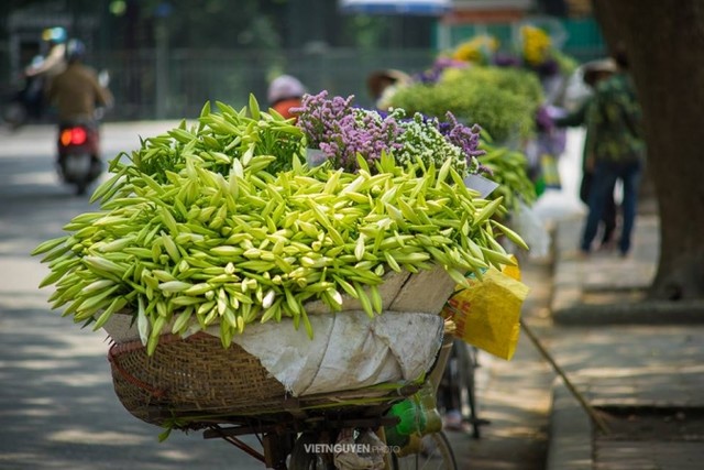 Gánh loa kèn và nỗi nhớ tháng 4 ảnh 4 Gánh loa kèn và nỗi nhớ tháng 4 ảnh 4
