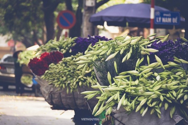 Gánh loa kèn và nỗi nhớ tháng 4 ảnh 6 Gánh loa kèn và nỗi nhớ tháng 4 ảnh 6