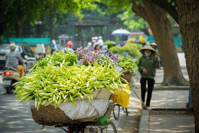 Gánh loa kèn và nỗi nhớ tháng 4 ảnh 7 Gánh loa kèn và nỗi nhớ tháng 4 ảnh 7