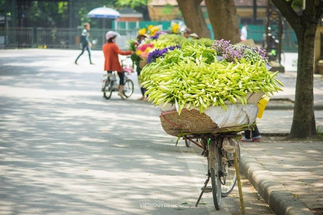 Gánh loa kèn và nỗi nhớ tháng 4 ảnh 8 Gánh loa kèn và nỗi nhớ tháng 4 ảnh 8