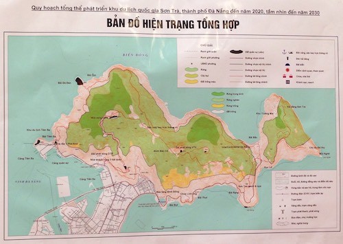 Phó thủ tướng chỉ đạo chưa triển khai quy hoạch Sơn Trà ảnh 1 Phó thủ tướng chỉ đạo chưa triển khai quy hoạch Sơn Trà ảnh 1
