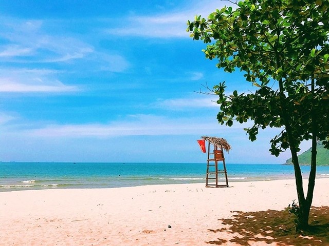 Bãi Đông - điểm đến mới nổi hút khách ở Thanh Hóa ảnh 3 Bãi Đông - điểm đến mới nổi hút khách ở Thanh Hóa ảnh 3