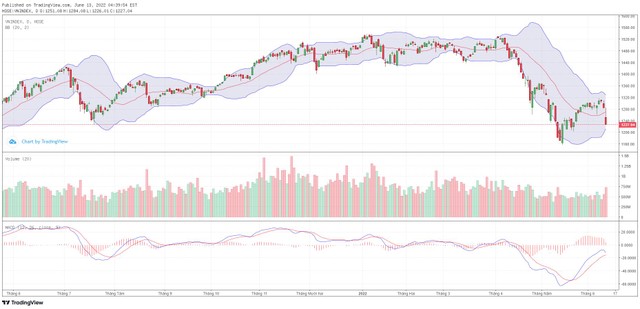 Biểu đồ kỹ thuật VN-Index.