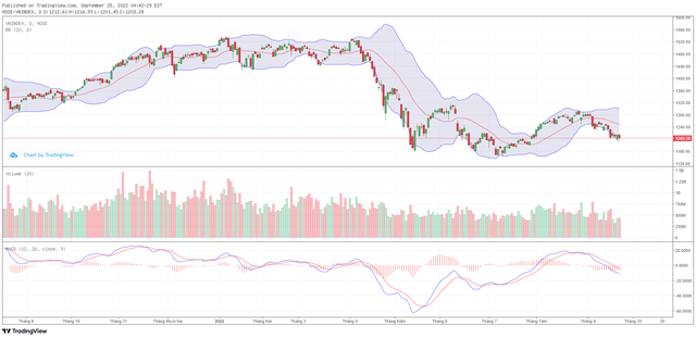 Biểu đồ kỹ thuật VN-Index.