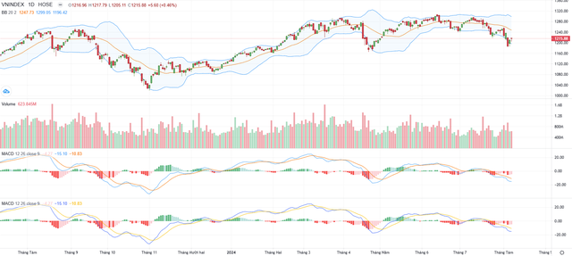 Biểu đồ kỹ thuật VN-Index.