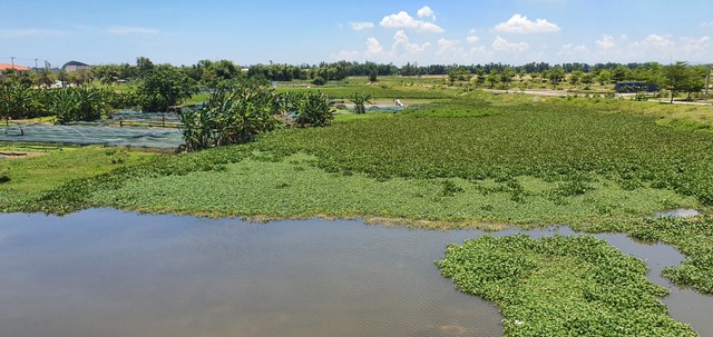 Dự án nạo vét sông Cổ Cò đang vướng giải phóng mặt bằng. Dự án nạo vét sông Cổ Cò đang vướng giải phóng mặt bằng.