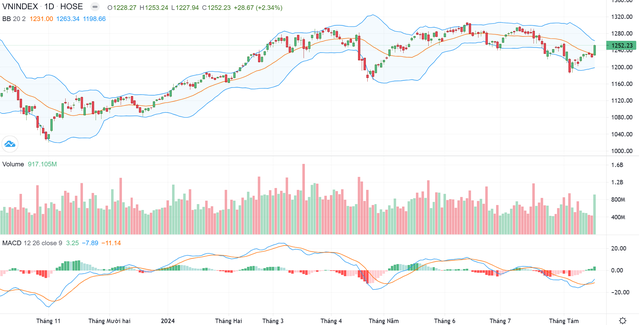 Biểu đồ kỹ thuật VN-Index.