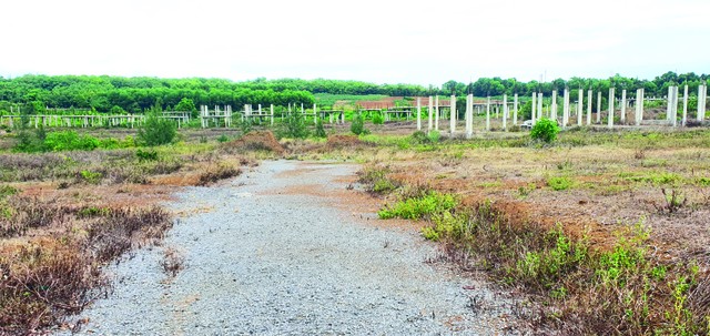 Khu đô thị sinh thái biển AE Resort Cửa Tùng chưa có động thái triển khai trở lại, dù được gia hạn tiến độ nhiều lần. Khu đô thị sinh thái biển AE Resort Cửa Tùng chưa có động thái triển khai trở lại, dù được gia hạn tiến độ nhiều lần.