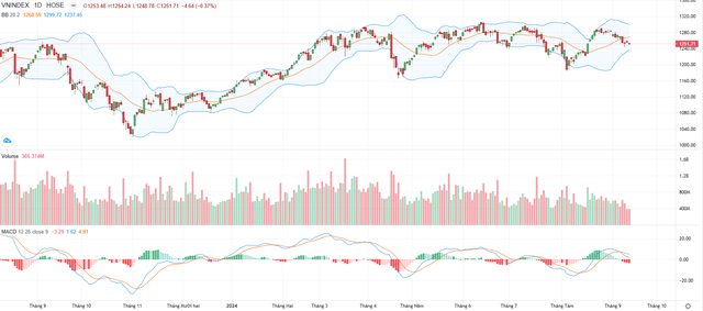 Biểu đồ kỹ thuật VN-Index. Biểu đồ kỹ thuật VN-Index.