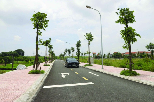 Những lô đất diện tích lớn, nằm gần mặt đường với giá phải chăng có thanh khoản rất tốt. Ảnh: Dũng Minh.