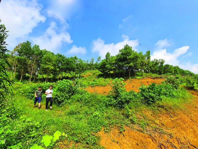 Tâm lý FOMO thúc đẩy nhà đầu tư gom đất ồ ạt. Ảnh: Dũng Minh. Tâm lý FOMO thúc đẩy nhà đầu tư gom đất ồ ạt. Ảnh: Dũng Minh.