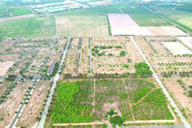 Sản phẩm đất nền dự án đang được quan tâm. Ảnh: Việt Dũng.