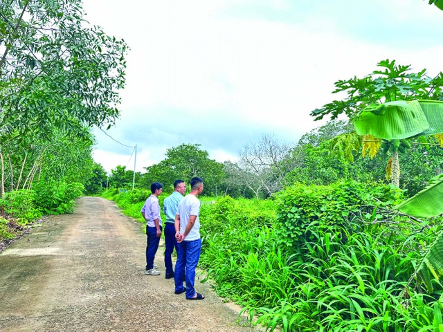 Nhà đầu tư đi săn đất nền vùng ven, nơi có dự án hạ tầng hay các đô thị lớn. Ảnh: Việt Dũng.
