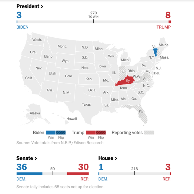 Kết quả ban đầu của cuộc bầu cử 2020