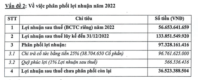 Phân phối lợi nhuận năm 2022 của HEM Phân phối lợi nhuận năm 2022 của HEM