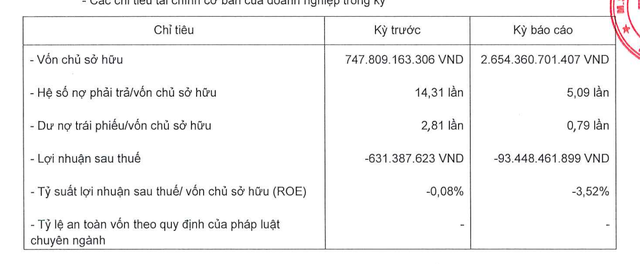 Các chỉ tiêu tài chính của Bất động sản Đà Lạt Valley Các chỉ tiêu tài chính của Bất động sản Đà Lạt Valley