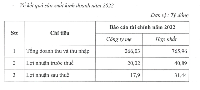Kết quả kinh doanh năm 2022 của VGV