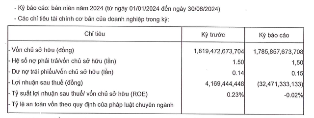 Các chỉ tiêu tài chính của Phan Vũ nửa đầu năm 2024