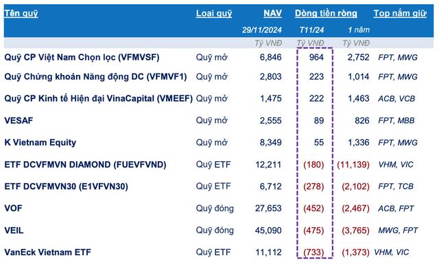 Top vào/rút ròng theo từng loại loại hình quỹ trong tháng 11/2024