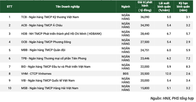 Top 10 các doanh nghiệp có giá trị phát hành lớn nhất trong năm 2024