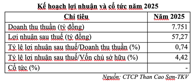 Kế hoạch năm 2025 của CST